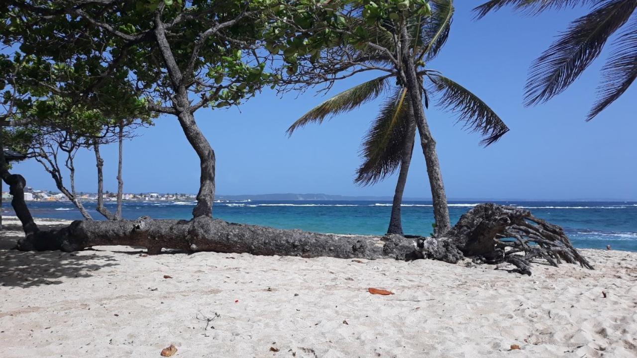 Studio à la semaine, au mois ou plus Le Moule Exterior foto